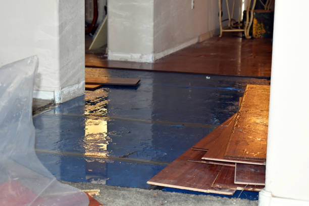 Professional Burst Pipe Cleanup technician working in Newcastle, TX
